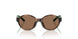 500373 - Tortoise - Dark Brown