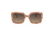 10 - DV0192. Brown 5320