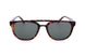 GAP SGP404 Sunglasses