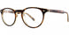 Kata Ninja Eyeglasses