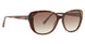 Vera Bradley VBLAURAH Sunglasses