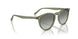 318711 - Green - Gradient Grey