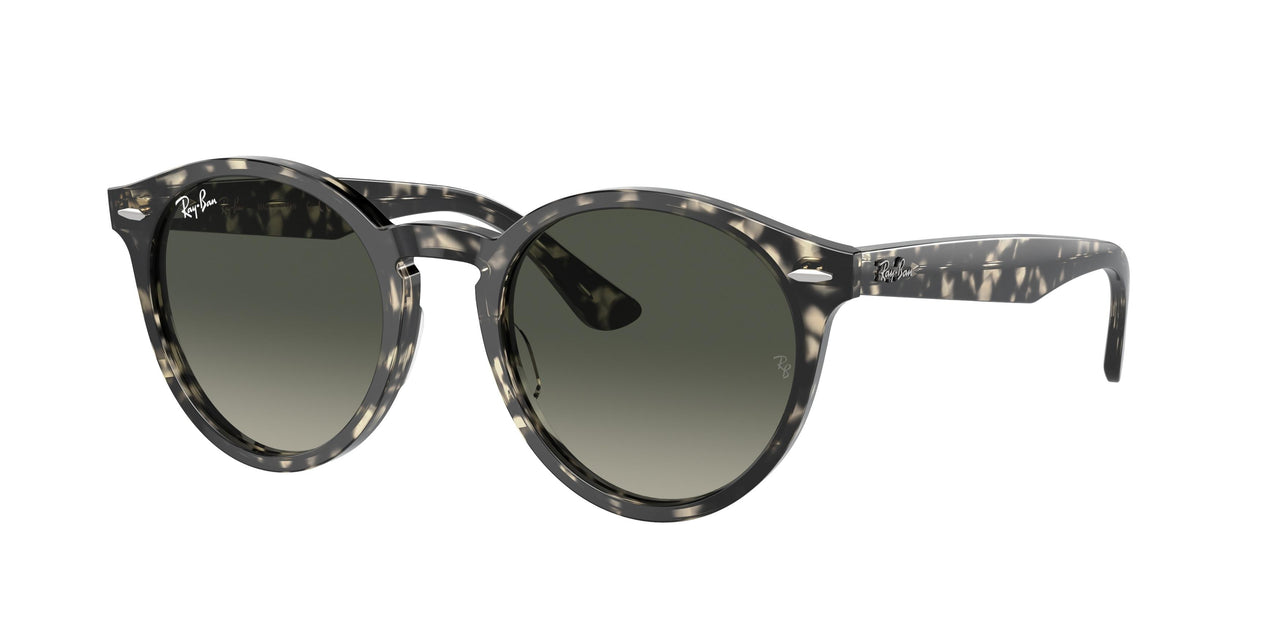 Ray-Ban Larry 7680S Sunglasses