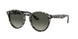 Ray-Ban Larry 7680S Sunglasses