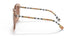 400613 - Pink - Gradient Brown