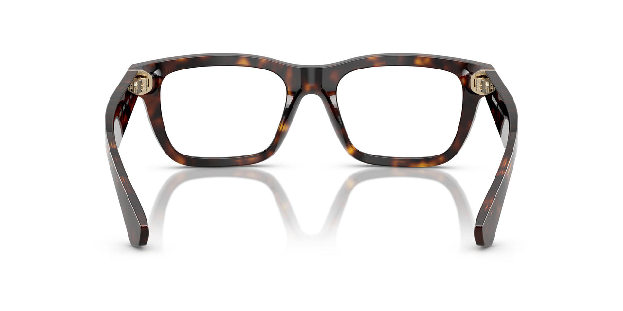 3002 - Brown