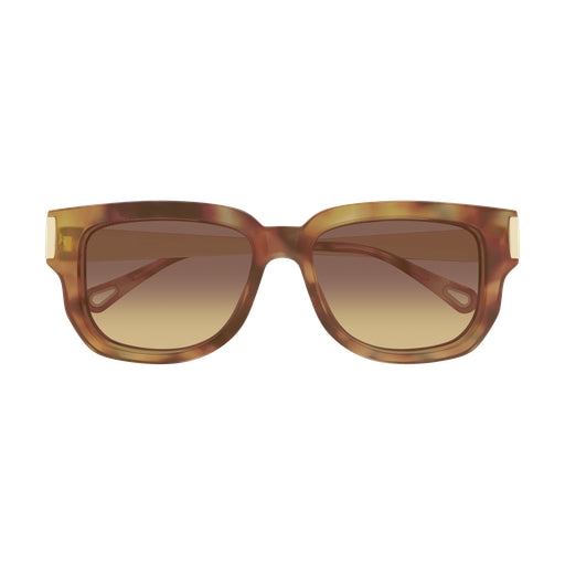 002 - Havana/Gold - Brown