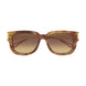 002 - Havana/Gold - Brown
