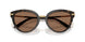 321713 - Tortoise - Dark Brown