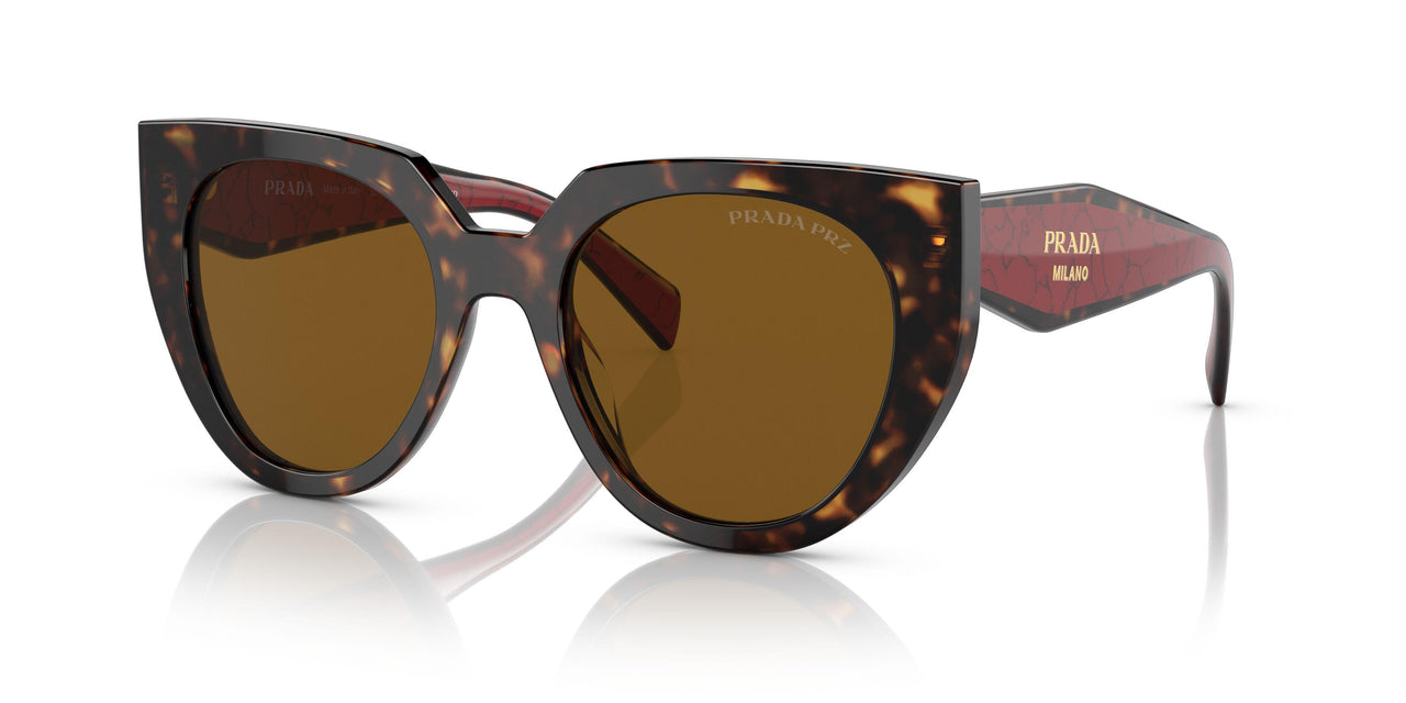 2AU5Y1 - Havana - Dark Brown Polar
