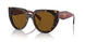 2AU5Y1 - Havana - Dark Brown Polar