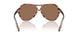 203673 - Brown - Dark Brown