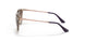 710813 - Light Brown - Gradient Brown