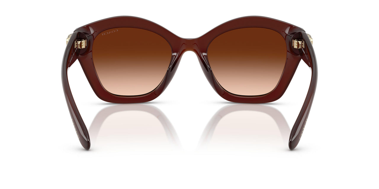 584174 - Brown - Brown Gradient