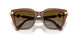 1067T5 - Brown - Gradient Brown Polar