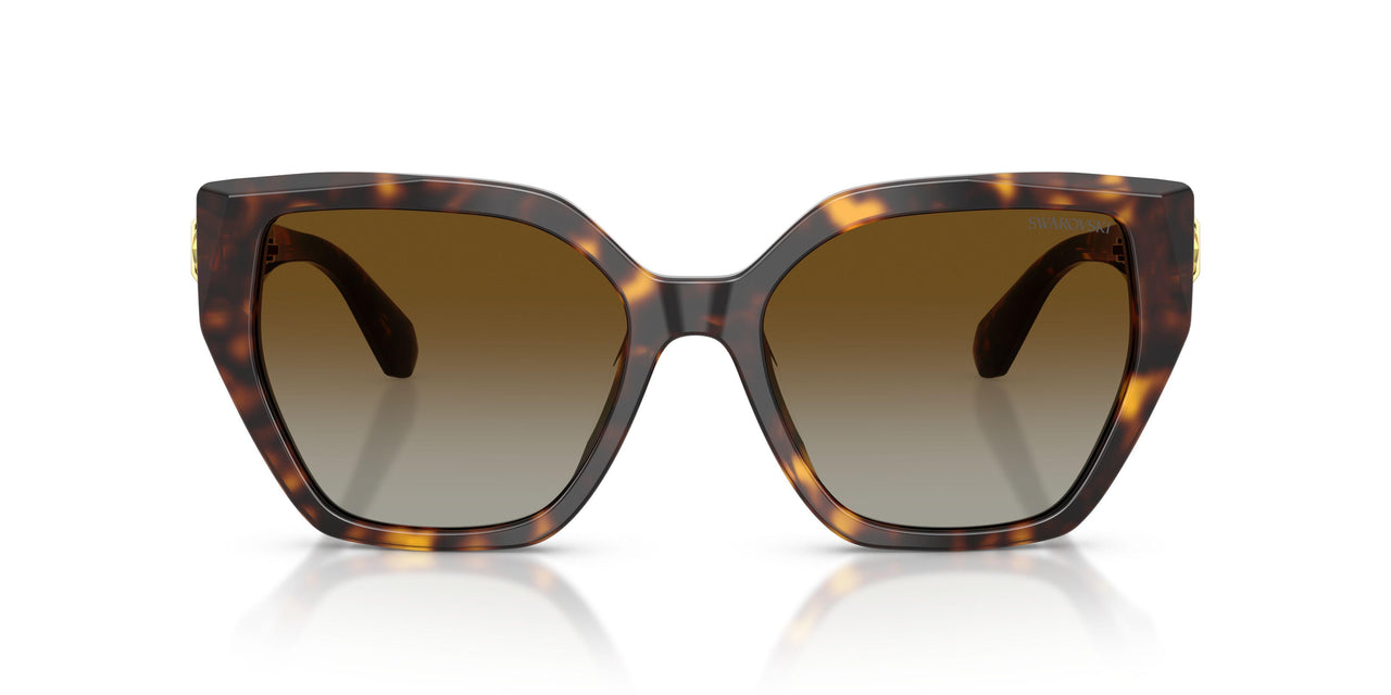 1002T5 - Tortoise - Brown Gradient Polar