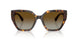 1002T5 - Tortoise - Brown Gradient Polar