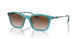 835113 - Green - Brown Gradient