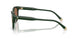 614073 - Green - Dark Brown
