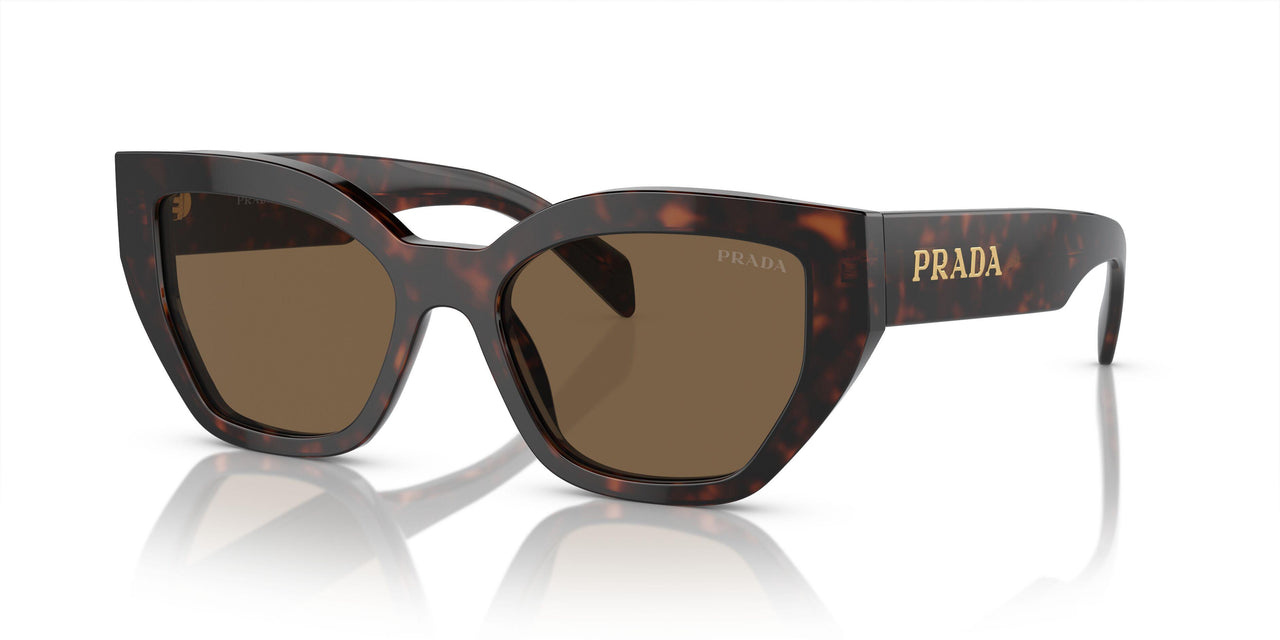 16N5Y1 - Brown - Dark Brown Polar
