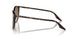 902/51 - Tortoise - Light Brown