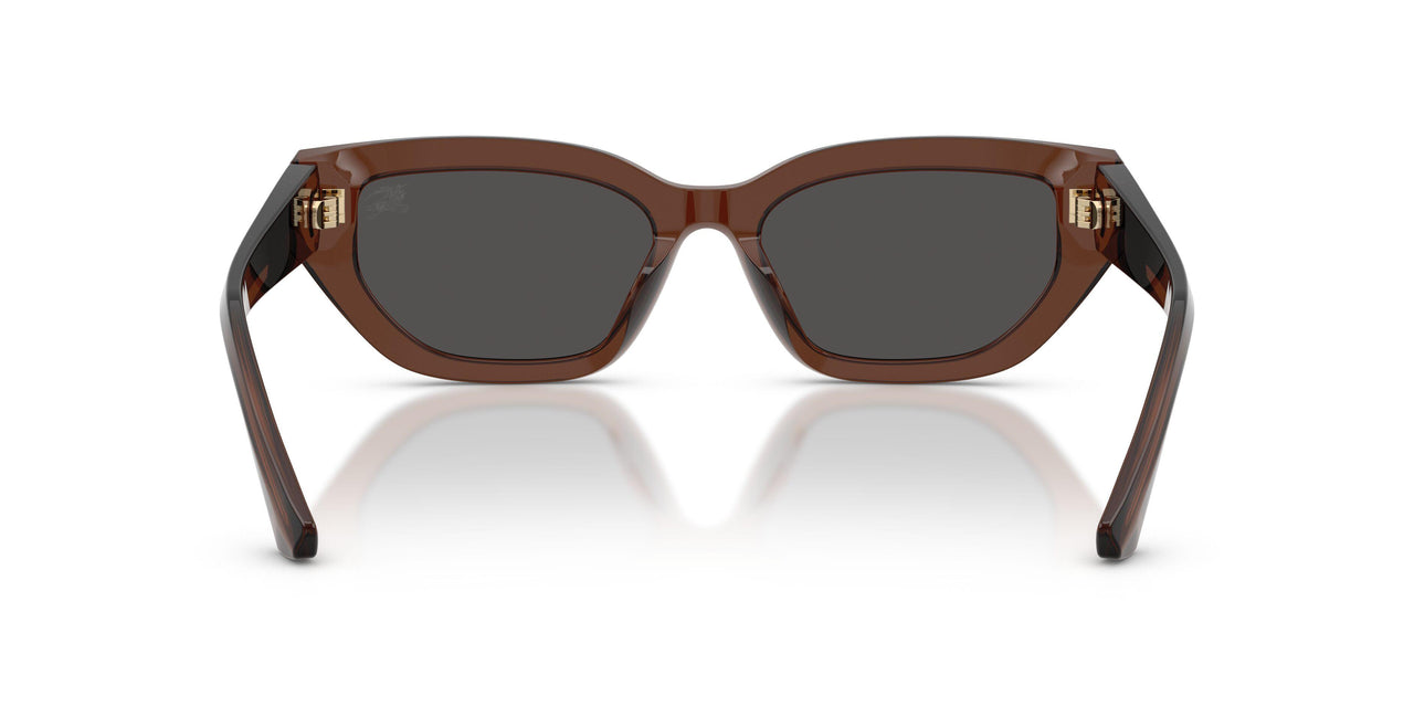 411687 - Brown - Dark Grey