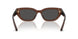 411687 - Brown - Dark Grey