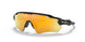920851 - Matte Black - Prizm Black Polarized