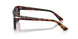 24/B1 - Tortoise - Dark Grey