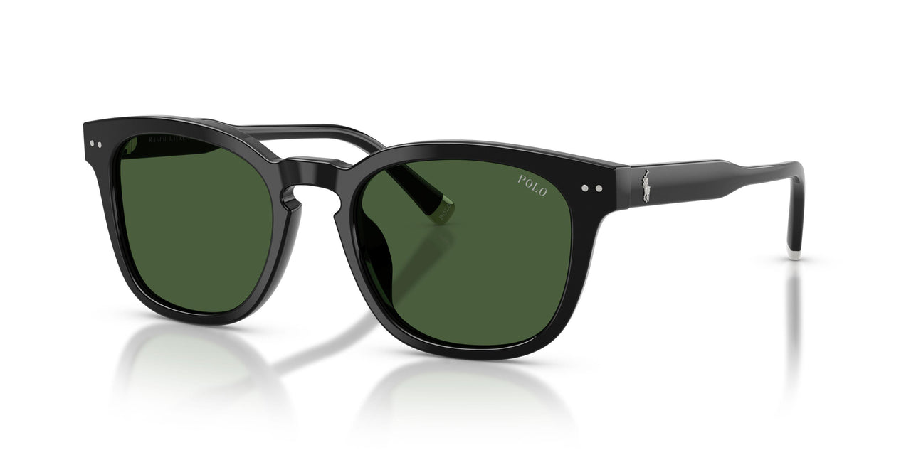 500171 - Black - Dark Green