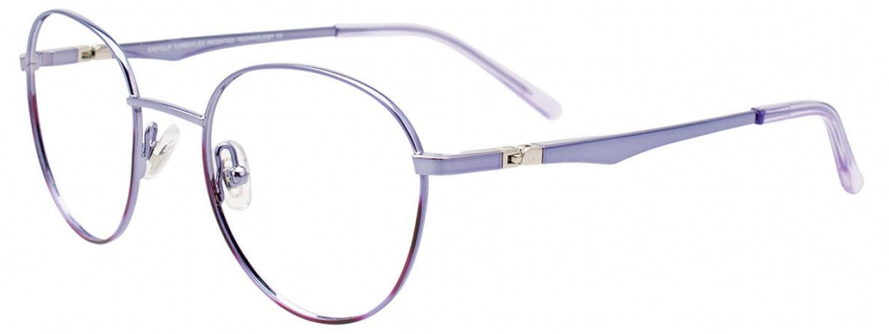 80 - Shiny Lilac & Purple Tortoise