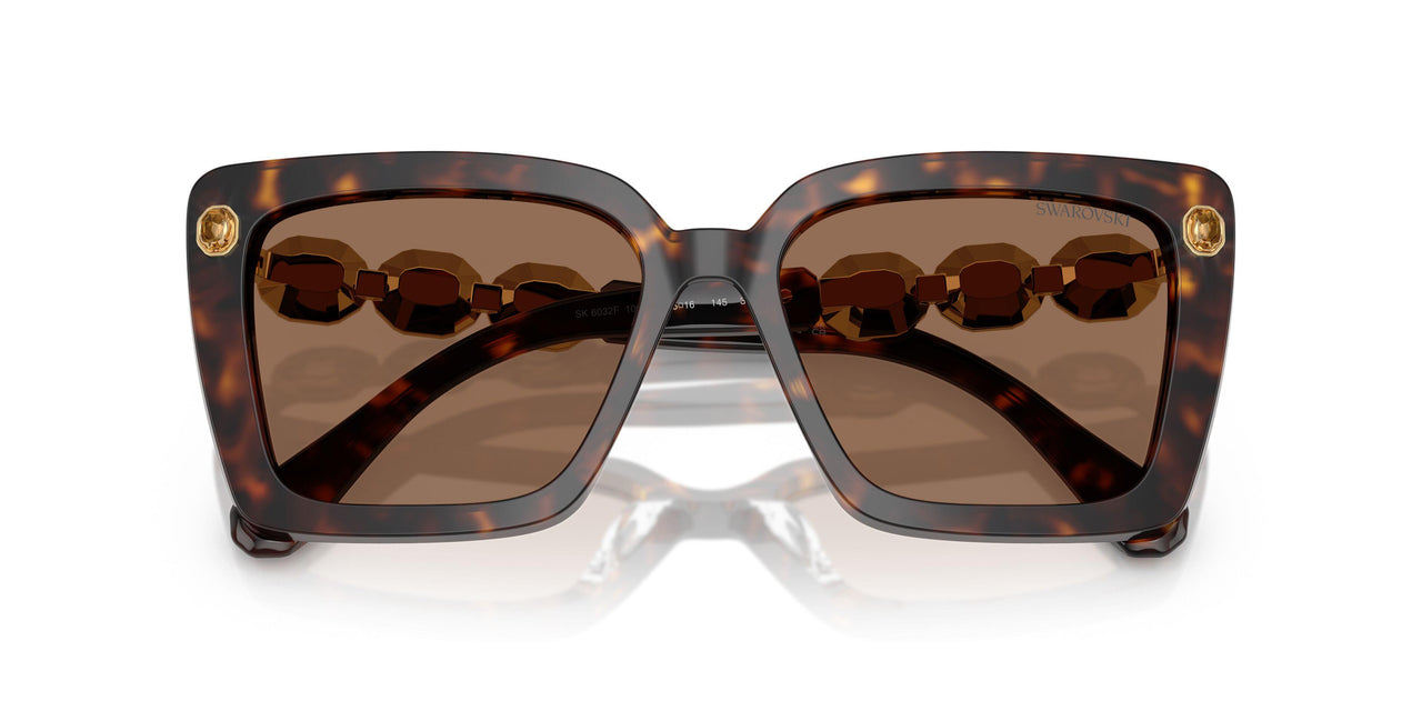 100273 - Tortoise - Dark Brown