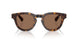 420573 - Brown - Dark Brown