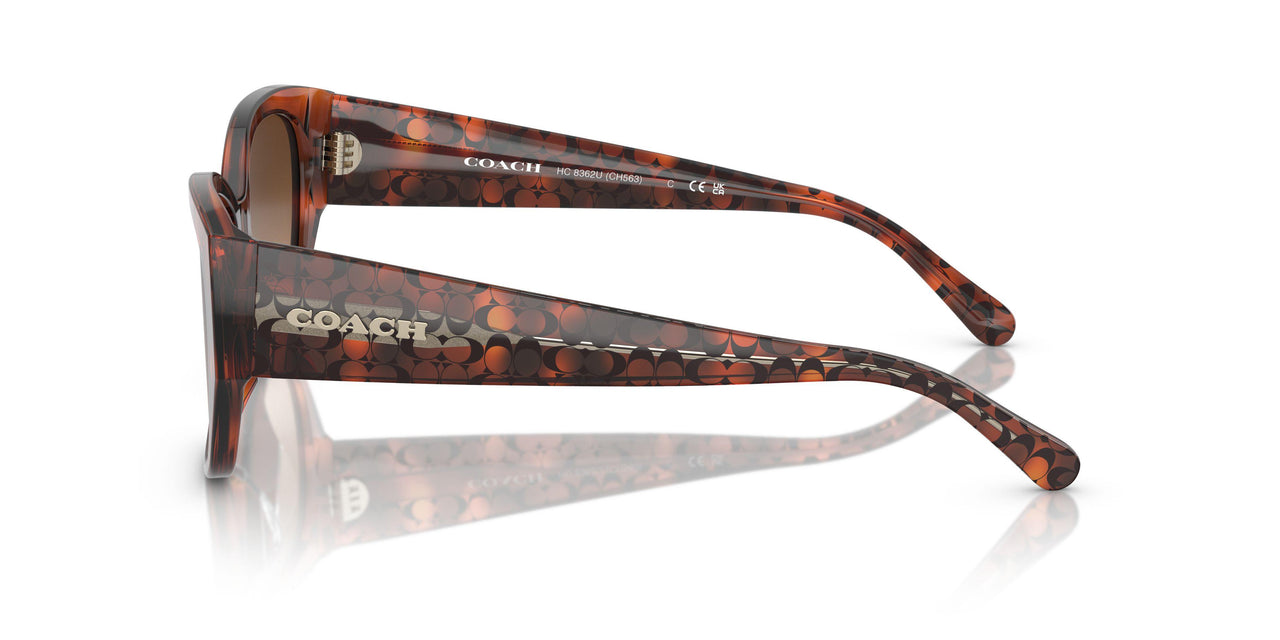 574174 - Tortoise - Brown Gradient