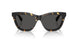 410687 - Tortoise - Dark Grey
