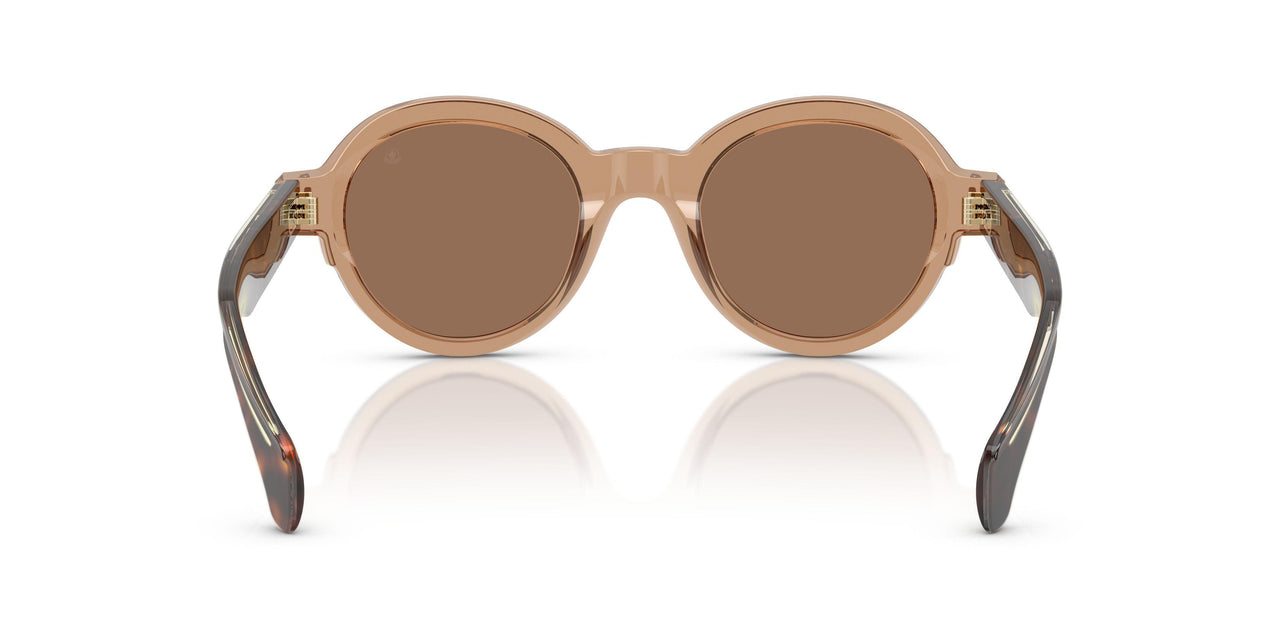 303773 - Brown - Dark Brown