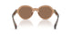 303773 - Brown - Dark Brown