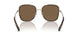 336373 - Tortoise - Brown Gradient