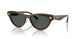 108/87 - Tortoise - Dark Grey