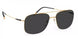 Silhouette Graben 8716 Sunglasses