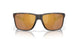 912010 - Tortoise - Gold Mirror