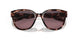 905109 - Orange - Rose Gradient