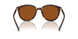 300673 - Tortoise - Brown Solid