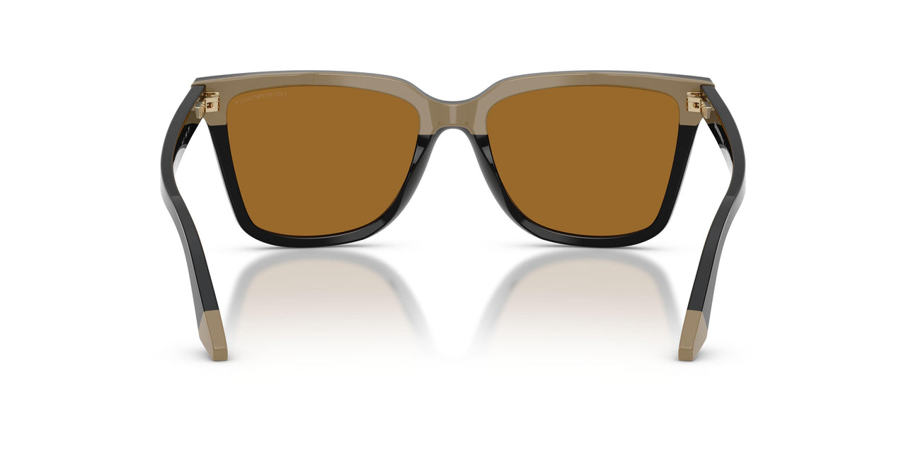 631383 - Black - Polar Brown