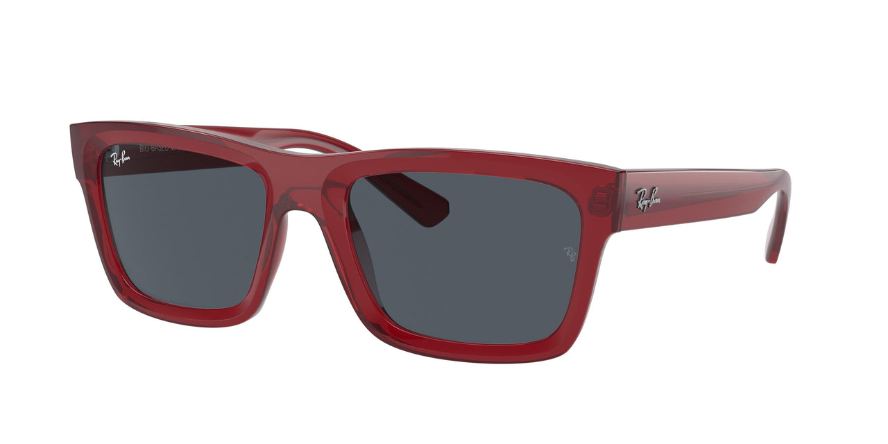 Ray-Ban Warren 4396 Sunglasses