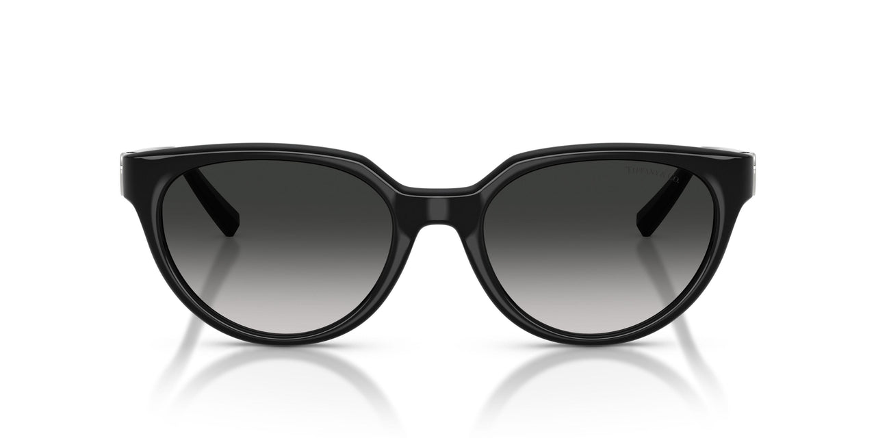 80013C - Black - Grey Gradient