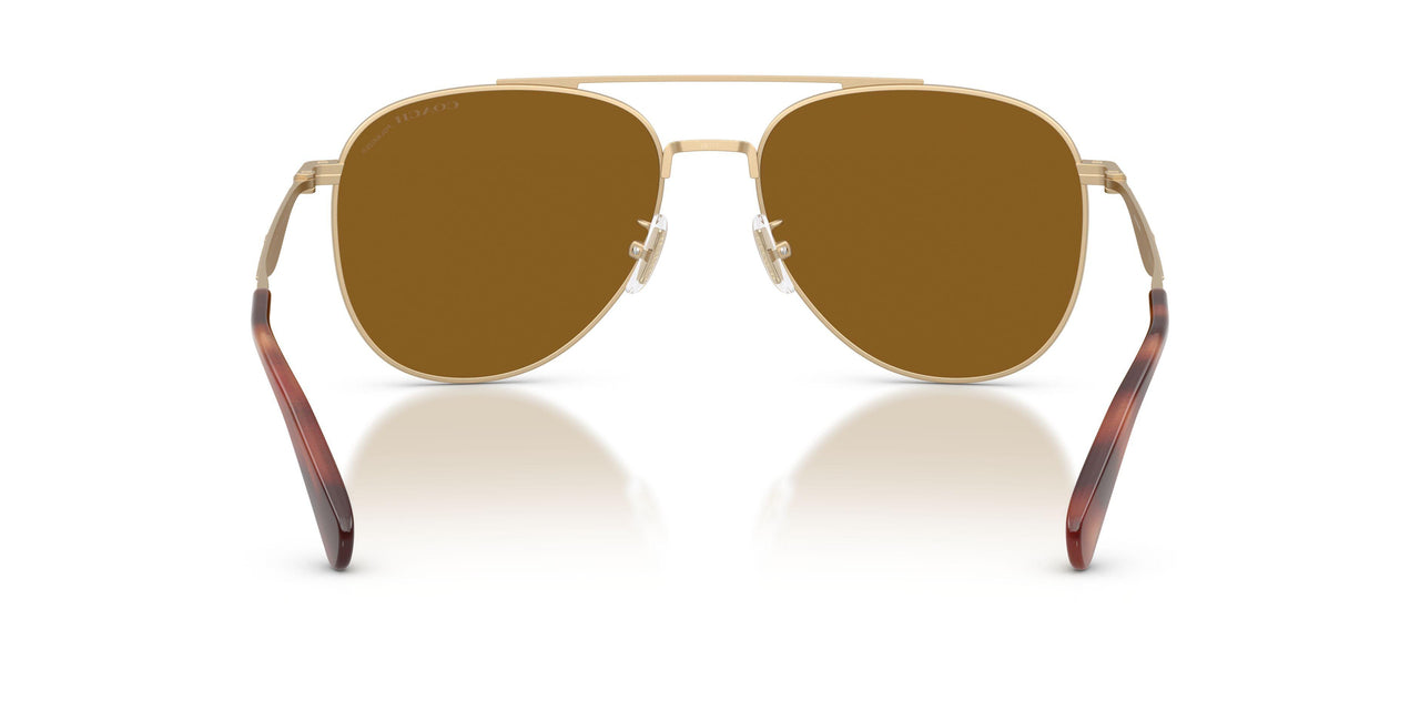 900583 - Gold - Brown Solid Polar