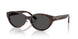 500287 - Tortoise - Dark Grey