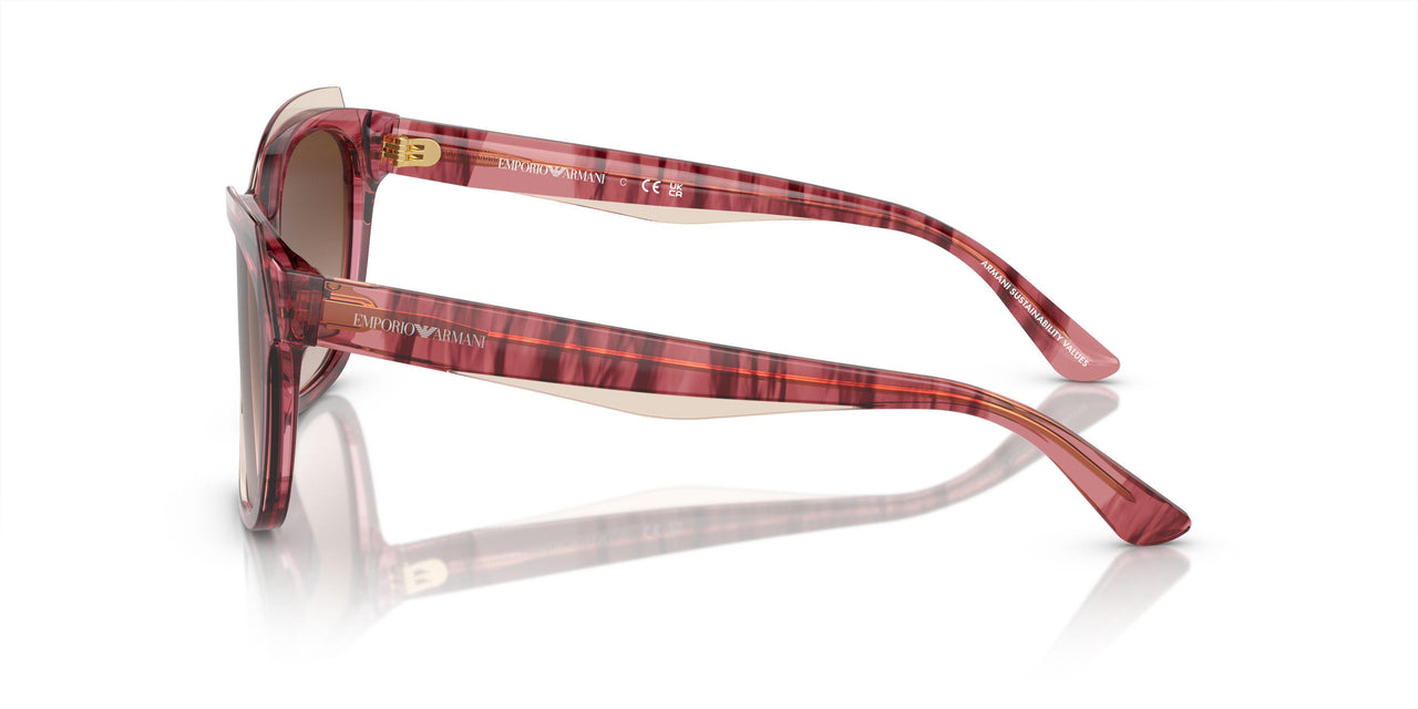 605713 - Red - Gradient Brown
