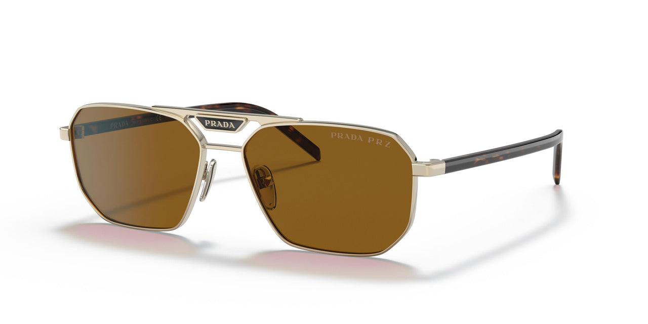 ZVN5Y1 - Gold - Polar Dark Brown